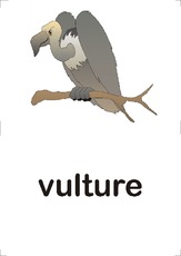 vulture.pdf